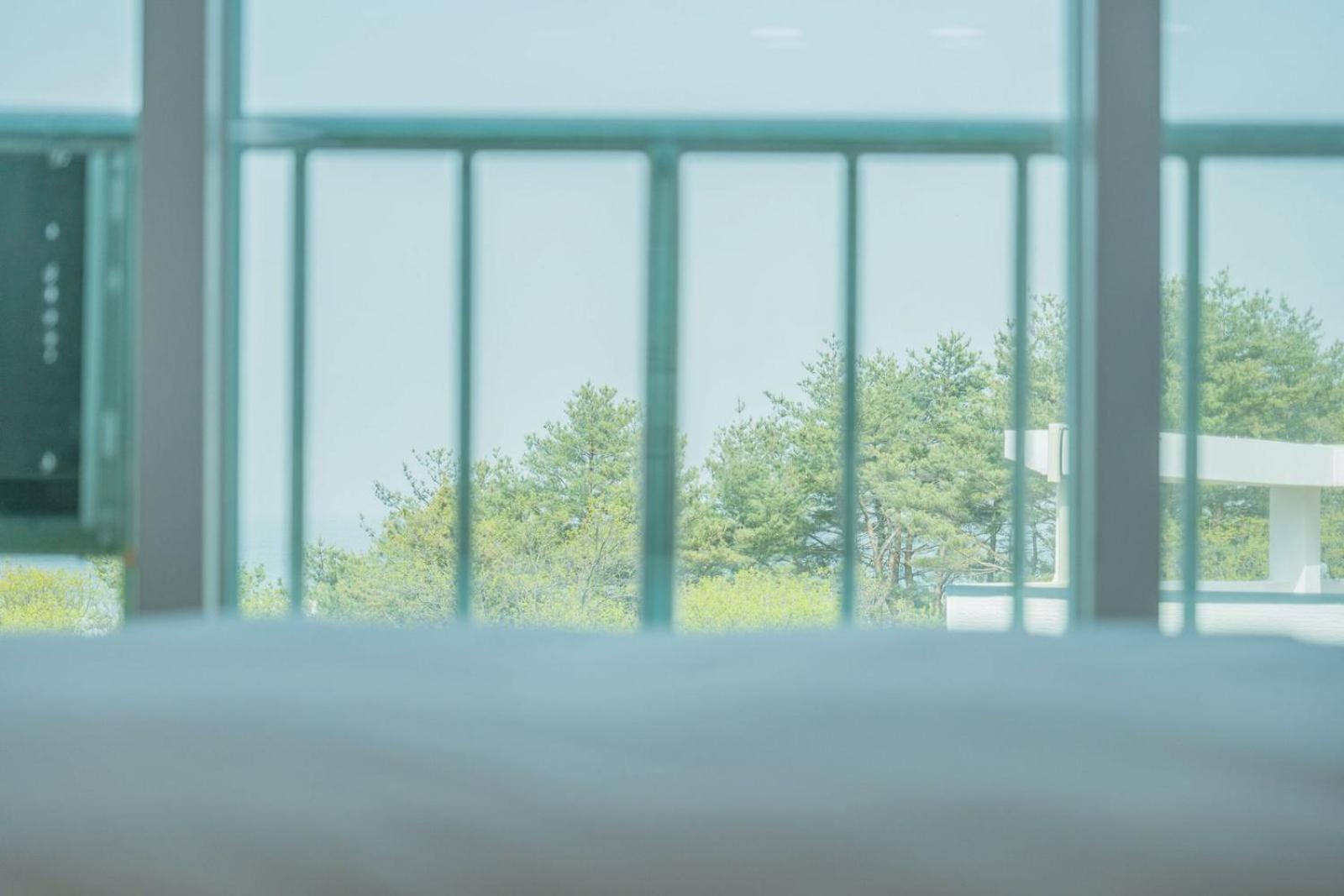 Zio Pinetree Otel Yangyang Dış mekan fotoğraf