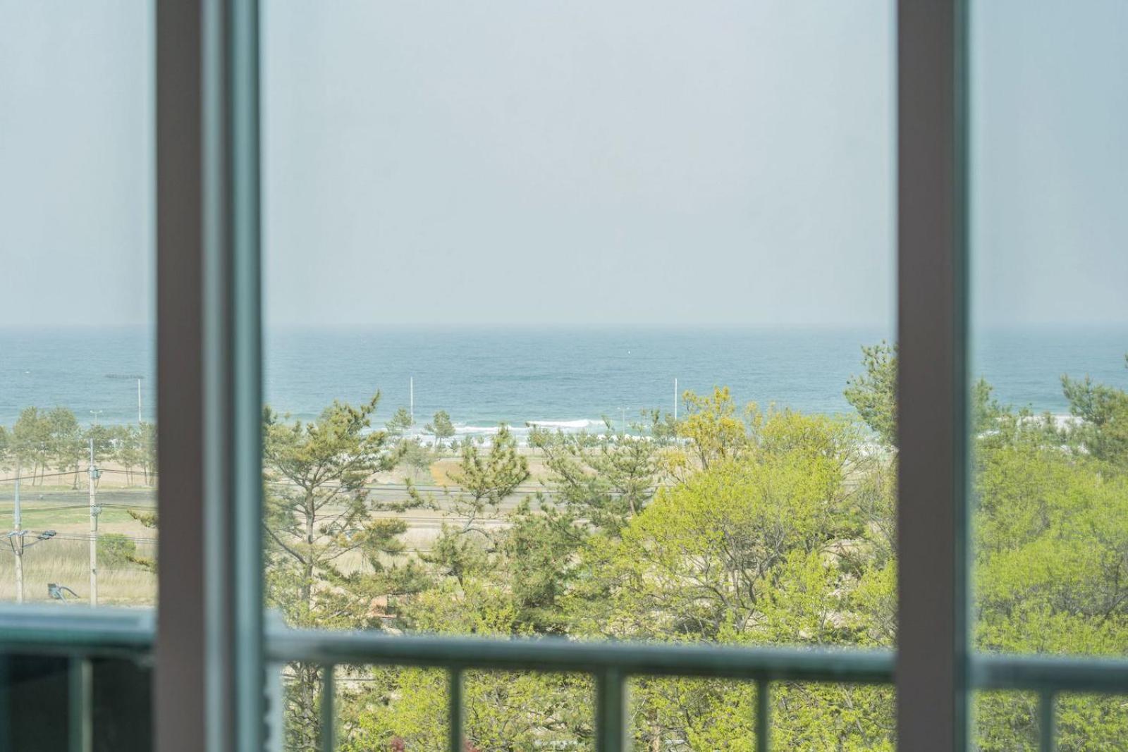 Zio Pinetree Otel Yangyang Dış mekan fotoğraf