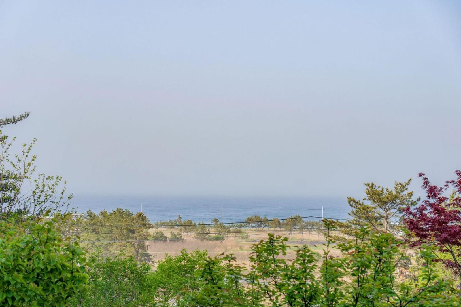 Zio Pinetree Otel Yangyang Dış mekan fotoğraf