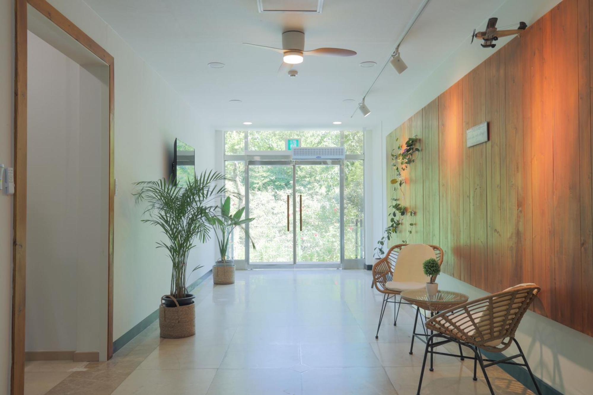 Zio Pinetree Otel Yangyang Dış mekan fotoğraf